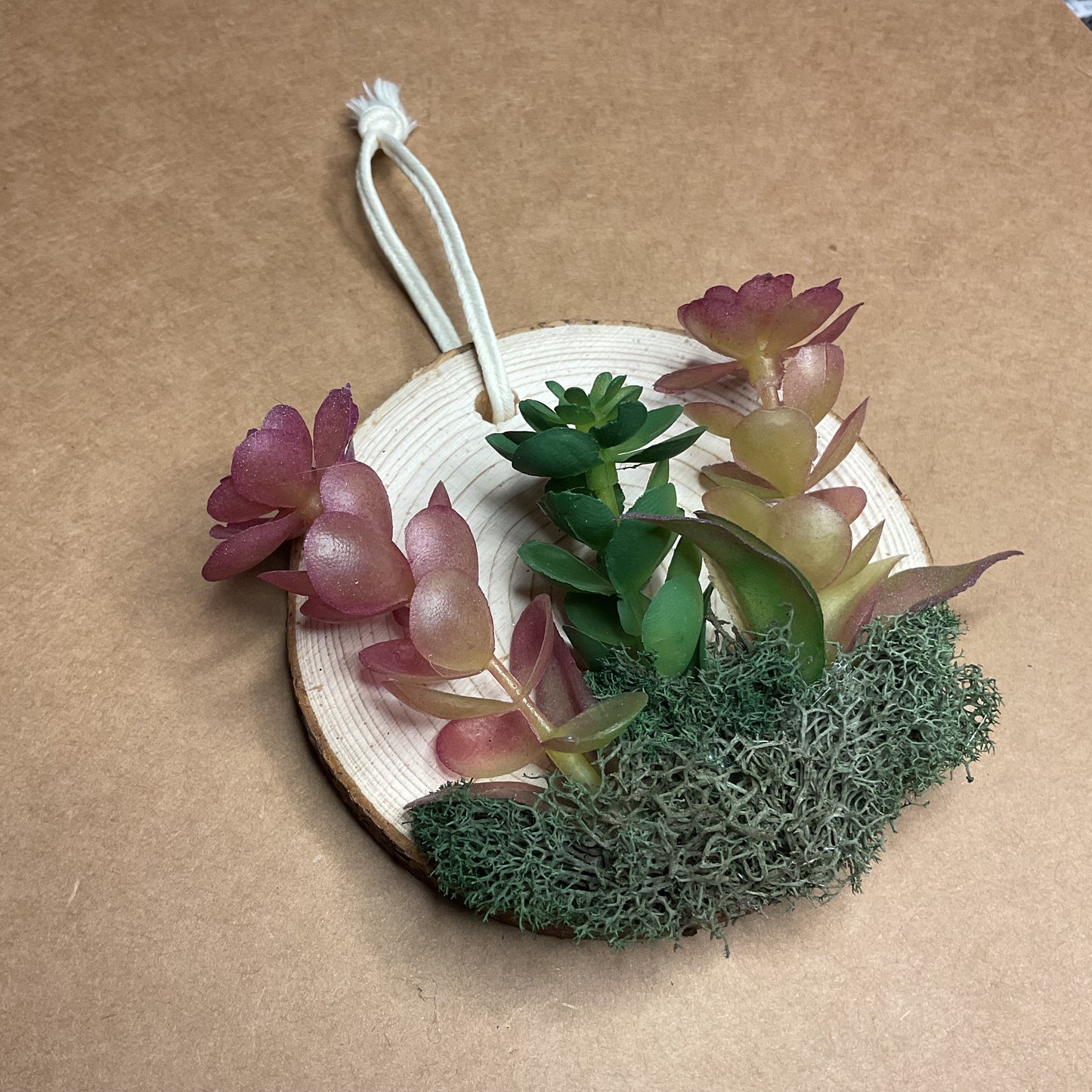 Succulent Ornament