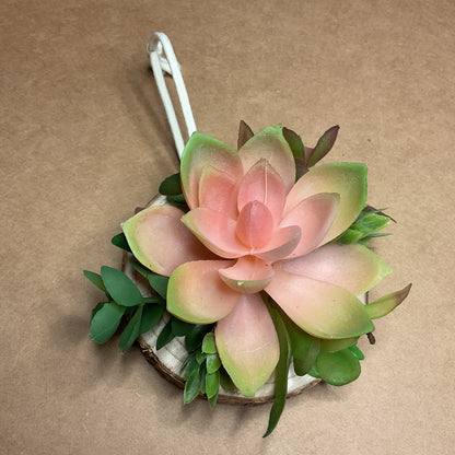 Succulent Ornament