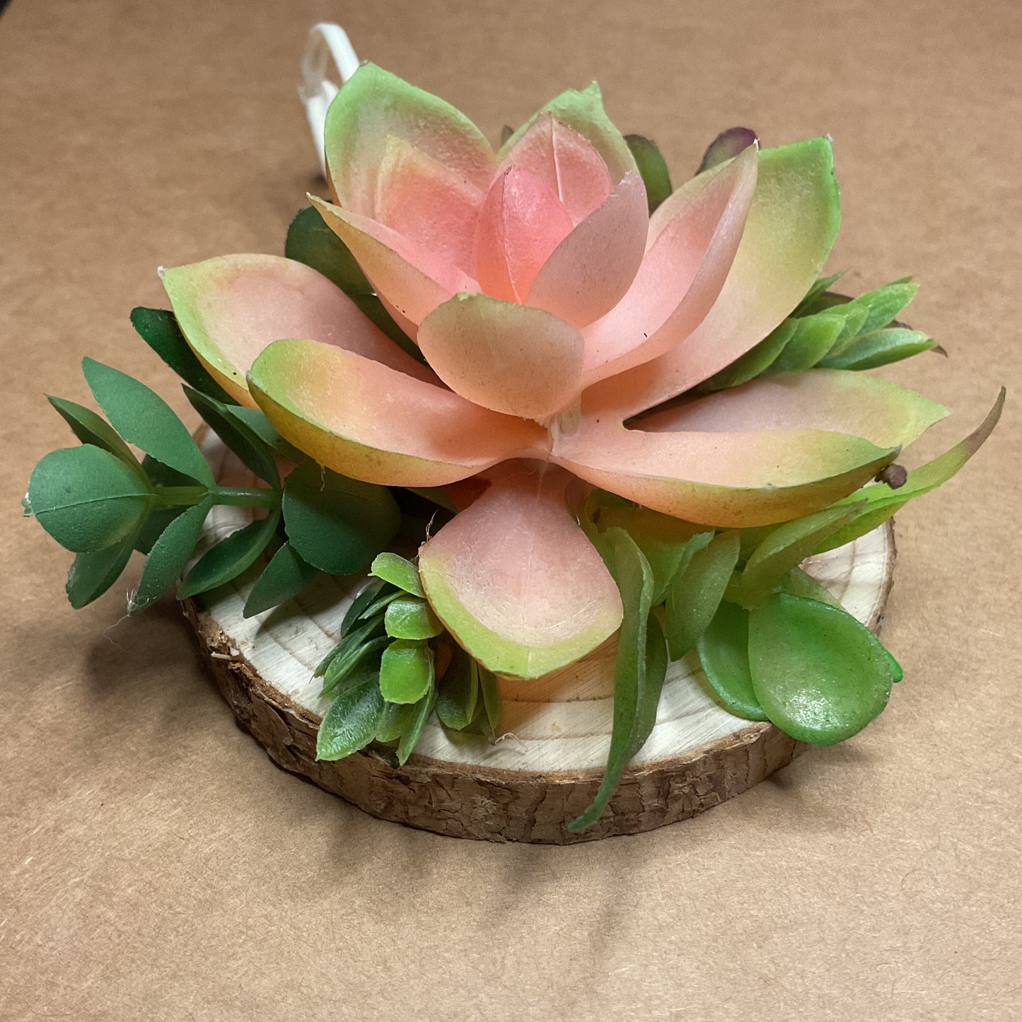 Succulent Ornament