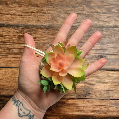 Succulent Ornament