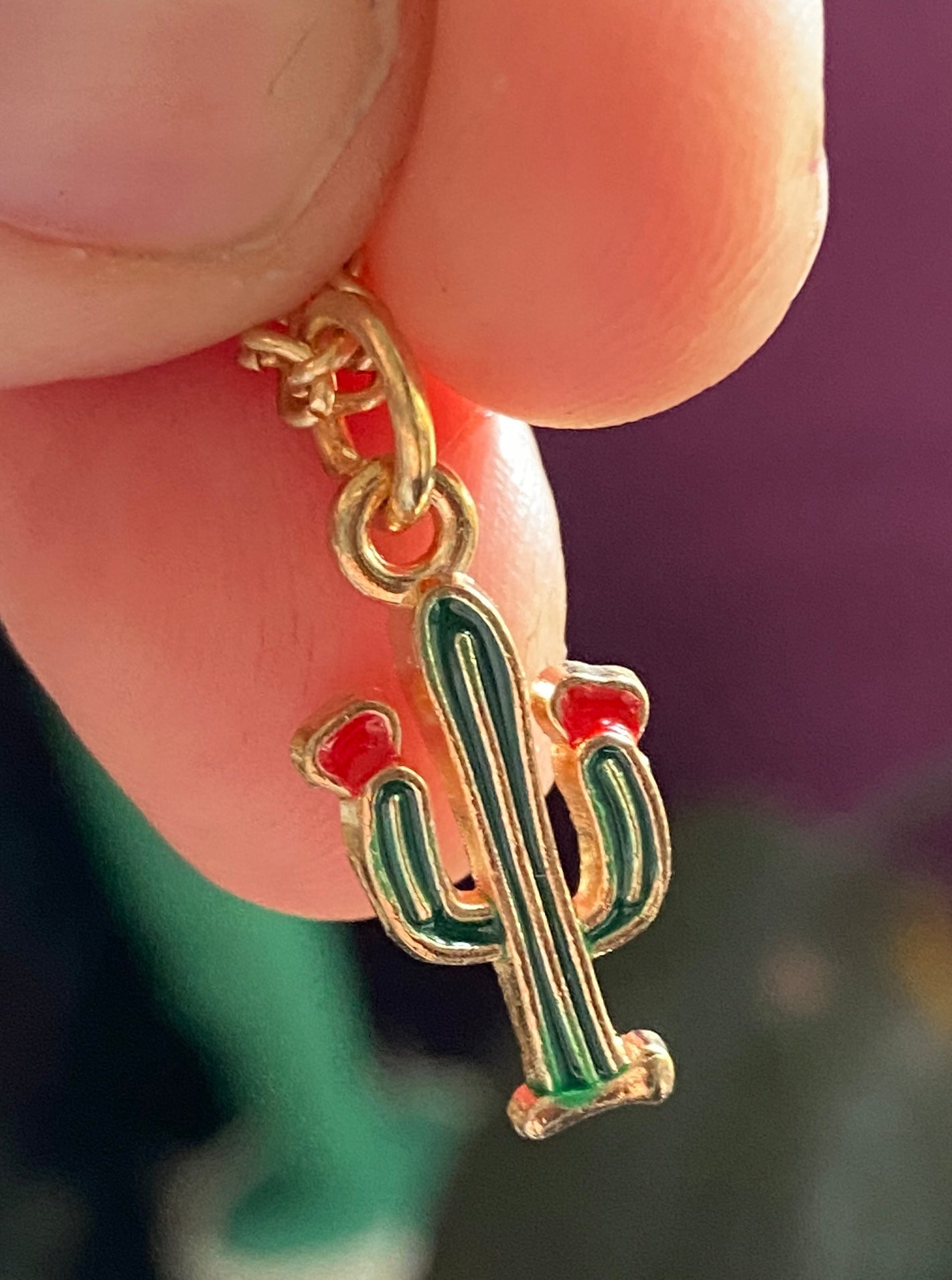 closeup of metal cactus charm