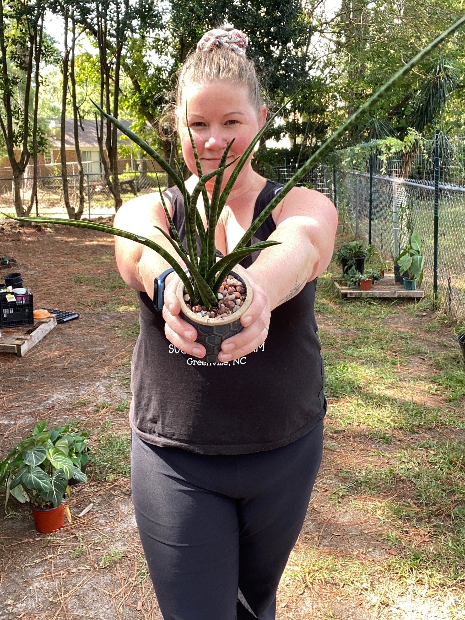 woman holding a snake plant