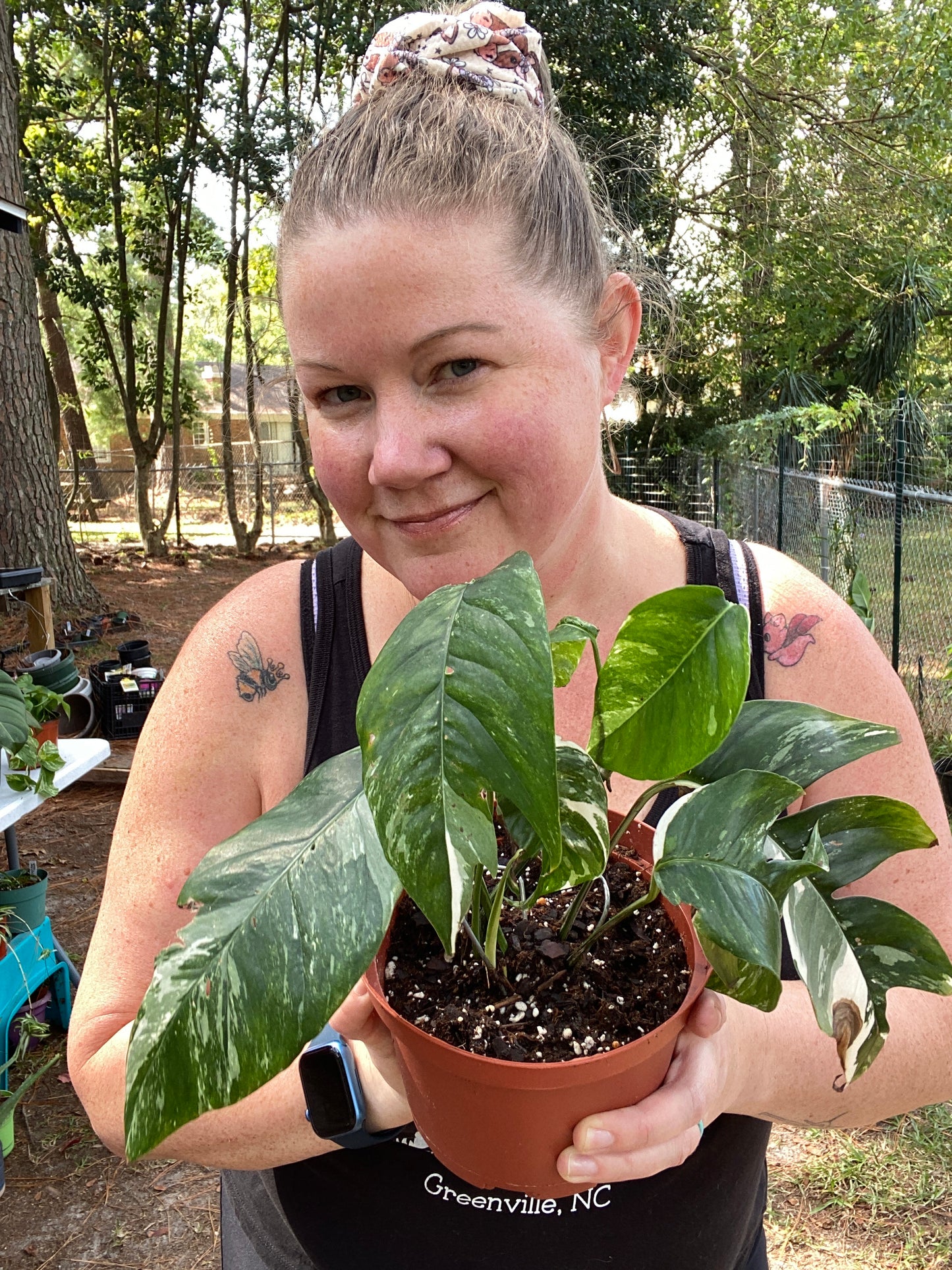 Woman holding Epipremnum Pinnatum Variegata Albo