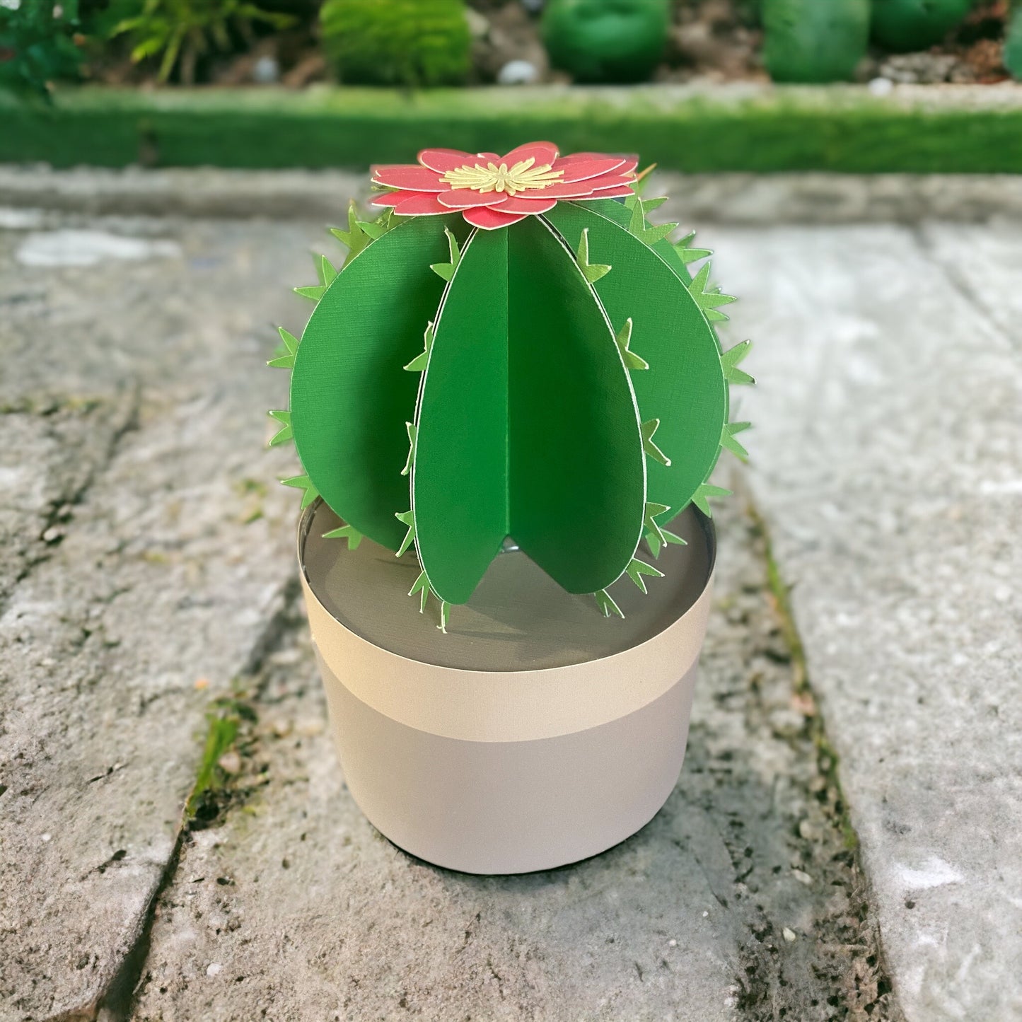 paper cactus with paper flower