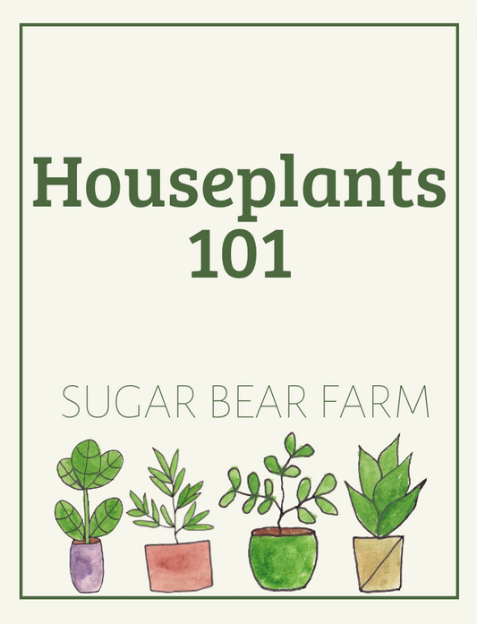 Houseplants 101 In person Class