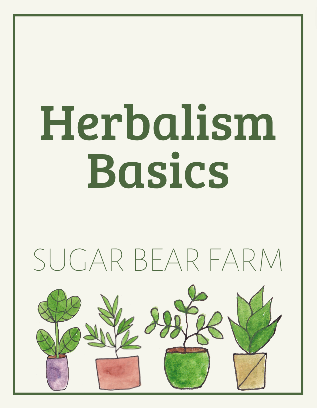 Herbalism Basics In Person Class