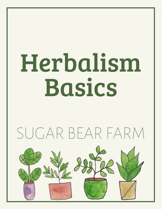 Herbalism Basics In Person Class