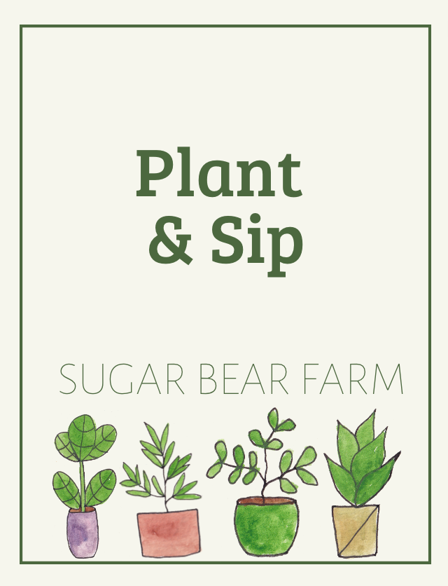 Plant and Sip In Person Class