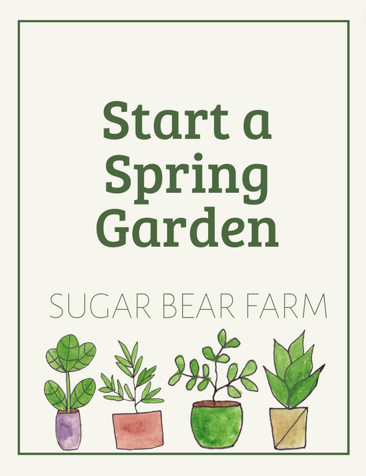 Start a Spring Garden In person Class