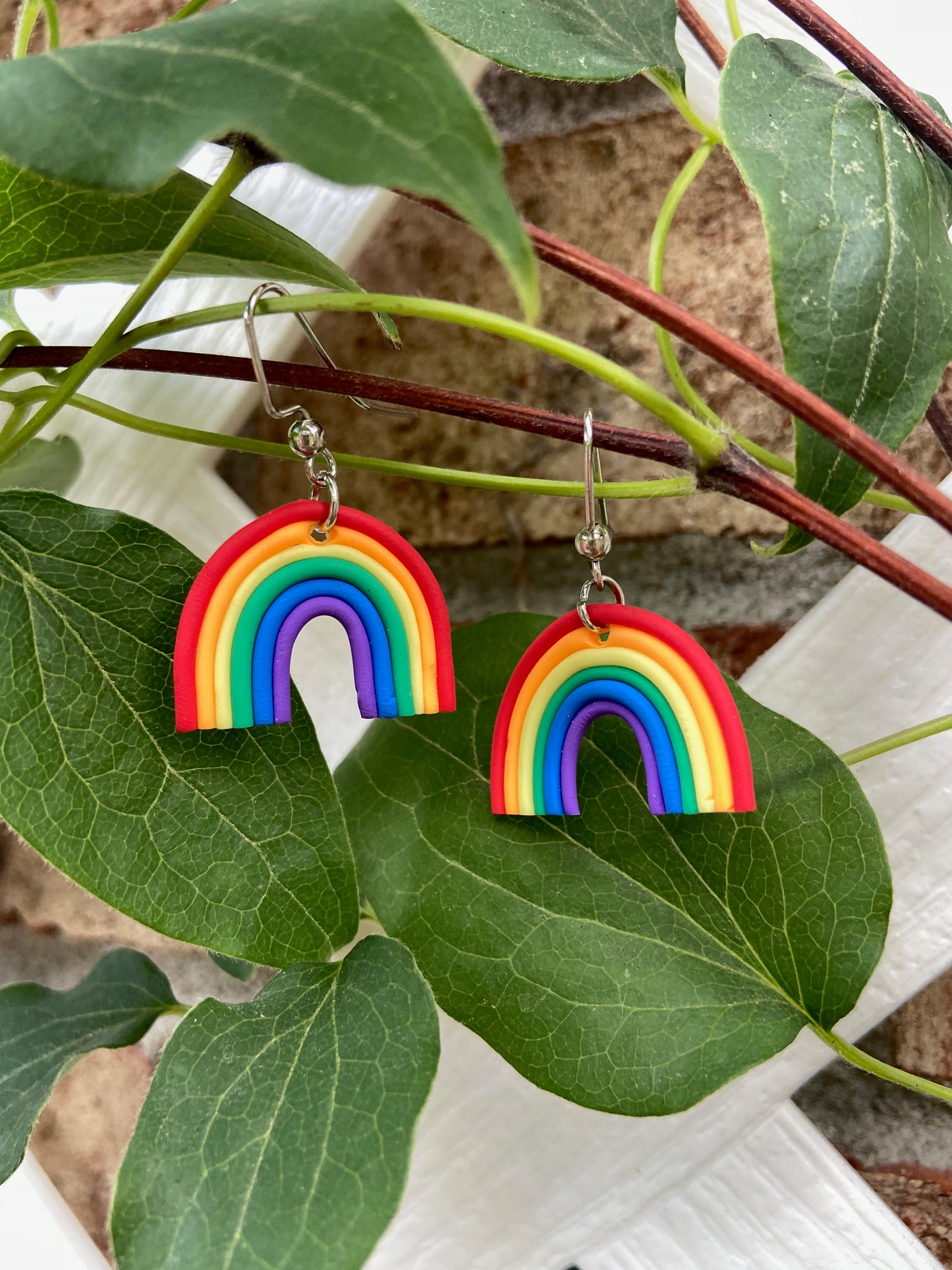 Rainbow earrings on leaves